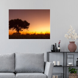 Plakat Drzewo na tle zachodzącego słońca