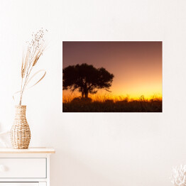 Plakat samoprzylepny Drzewo na tle zachodzącego słońca