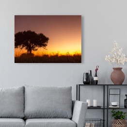 Obraz na płótnie Drzewo na tle zachodzącego słońca