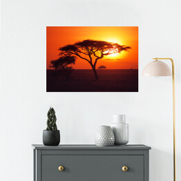 Plakat samoprzylepny Wschód słońca nad równinami Serengeti
