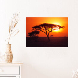 Plakat samoprzylepny Wschód słońca nad równinami Serengeti