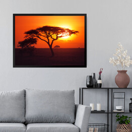 Obraz w ramie Wschód słońca nad równinami Serengeti