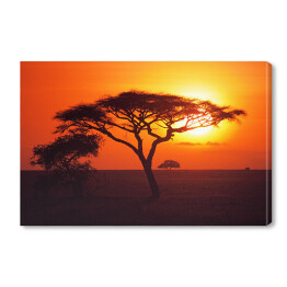 Obraz na płótnie Wschód słońca nad równinami Serengeti