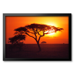 Obraz w ramie Wschód słońca nad równinami Serengeti