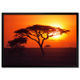 Plakat w ramie Wschód słońca nad równinami Serengeti