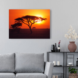 Obraz na płótnie Wschód słońca nad równinami Serengeti