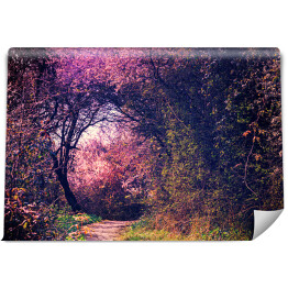 Fototapeta winylowa zmywalna Letni krajobraz z chodnikiem w magicznym ogrodzie. Krajobraz przyrody