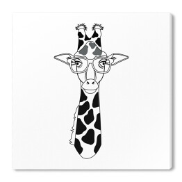 Żyrafa w okularach na białym tle