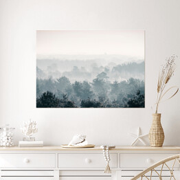 Plakat samoprzylepny Sosnowy zimowy las we mgle