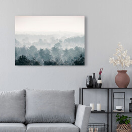 Obraz na płótnie Sosnowy zimowy las we mgle