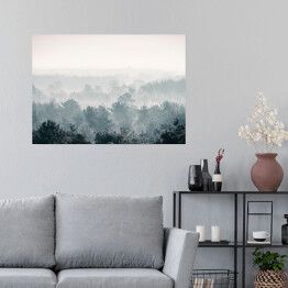 Plakat samoprzylepny Sosnowy zimowy las we mgle