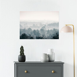 Plakat Sosnowy zimowy las we mgle