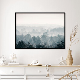 Plakat w ramie Sosnowy zimowy las we mgle