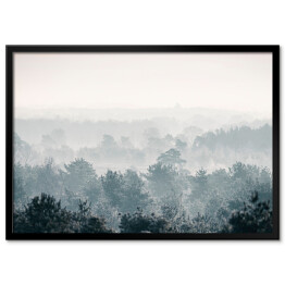 Plakat w ramie Sosnowy zimowy las we mgle