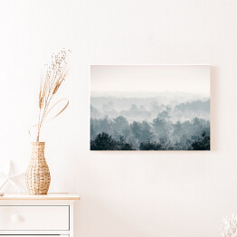 Obraz na płótnie Sosnowy zimowy las we mgle