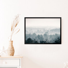 Obraz w ramie Sosnowy zimowy las we mgle