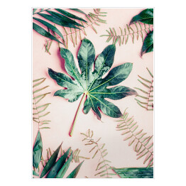 Plakat samoprzylepny Kompozycja z różnych liści tropikalnych palm na pastelowym różowym tle - widok z góry