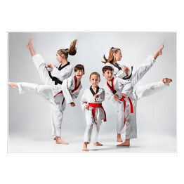 Plakat Grupa dzieci trenujących sztuki walki 