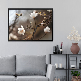 Obraz w ramie Kwitnąca magnolia