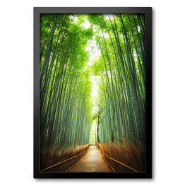 Obraz w ramie Droga przez bambusowy gaj, Kyoto
