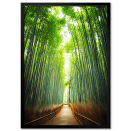 Plakat w ramie Droga przez bambusowy gaj, Kyoto