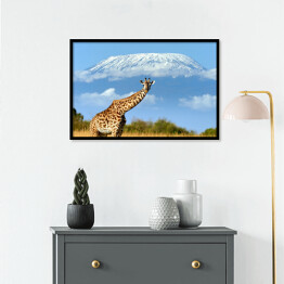 Plakat w ramie Żyrafa w parku narodowym, Kenia