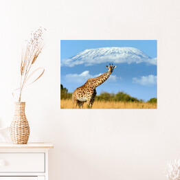 Plakat Żyrafa w parku narodowym, Kenia