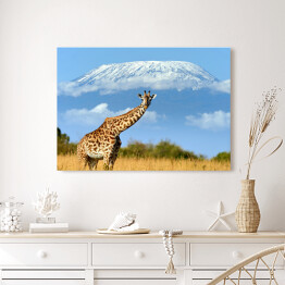 Obraz na płótnie Żyrafa w parku narodowym, Kenia