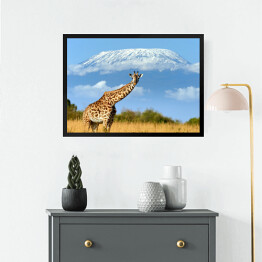 Obraz w ramie Żyrafa w parku narodowym, Kenia