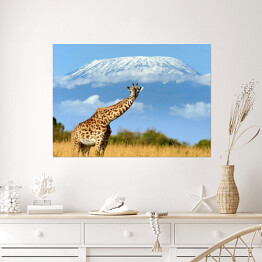 Plakat samoprzylepny Żyrafa w parku narodowym, Kenia