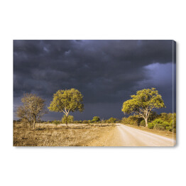 Obraz na płótnie Burzowe chmury w Parku Narodowym Krugera, Republika Południowej Afryki