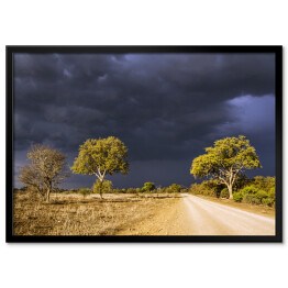 Plakat w ramie Burzowe chmury w Parku Narodowym Krugera, Republika Południowej Afryki