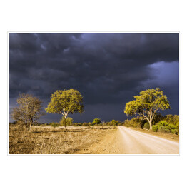 Plakat samoprzylepny Burzowe chmury w Parku Narodowym Krugera, Republika Południowej Afryki