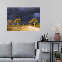 Plakat samoprzylepny Burzowe chmury w Parku Narodowym Krugera, Republika Południowej Afryki