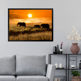 Obraz w ramie Rodzina słoni podczas wieczorengo spaceru