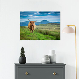 Pastwiskowa górska krowa w Wyspie Skye w Szkocja