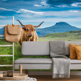 Fototapeta winylowa zmywalna Pastwiskowa górska krowa w Wyspie Skye w Szkocja