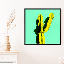 Obraz w ramie Kaktus w cieniu na niebieskim tle