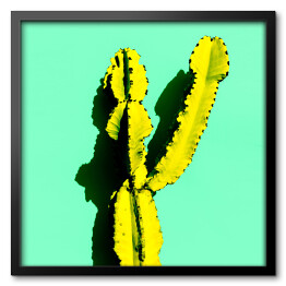 Obraz w ramie Kaktus w cieniu na niebieskim tle