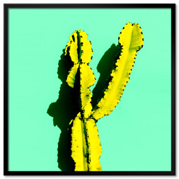 Plakat w ramie Kaktus w cieniu na niebieskim tle