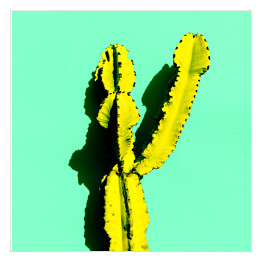 Plakat samoprzylepny Kaktus w cieniu na niebieskim tle