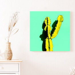 Obraz na płótnie Kaktus w cieniu na niebieskim tle