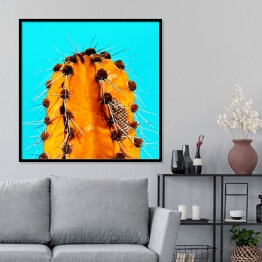 Plakat w ramie Pomarańczowy kaktus na niebieskim tle