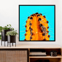 Obraz w ramie Pomarańczowy kaktus na niebieskim tle