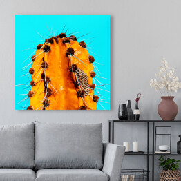 Obraz na płótnie Pomarańczowy kaktus na niebieskim tle
