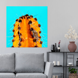 Plakat samoprzylepny Pomarańczowy kaktus na niebieskim tle