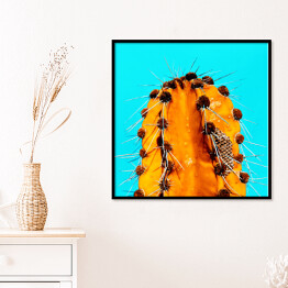 Plakat w ramie Pomarańczowy kaktus na niebieskim tle