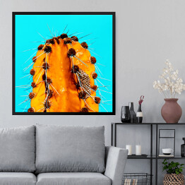Obraz w ramie Pomarańczowy kaktus na niebieskim tle