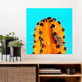 Plakat samoprzylepny Pomarańczowy kaktus na niebieskim tle