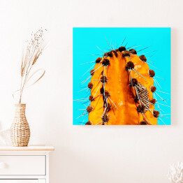 Obraz na płótnie Pomarańczowy kaktus na niebieskim tle